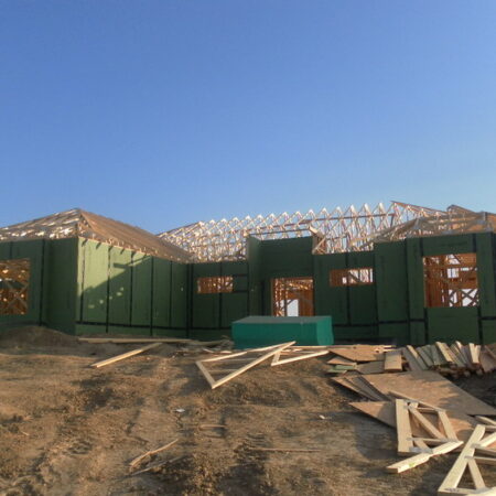 Image1
